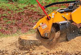 Best Stump Grinding and Removal  in Swannanoa, NC