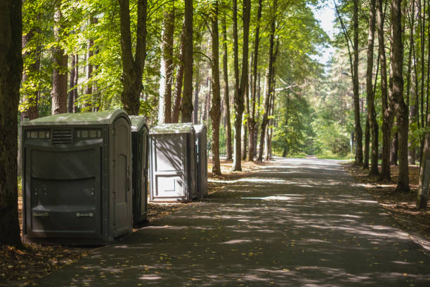 Leaf Removal in Swannanoa, NC